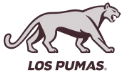 Los Pumas